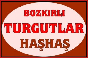 haşhaş